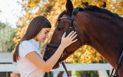 Sådan imødegår du stress hos heste – et dybdegående indblik